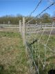 LIGHT STOCKFENCE 